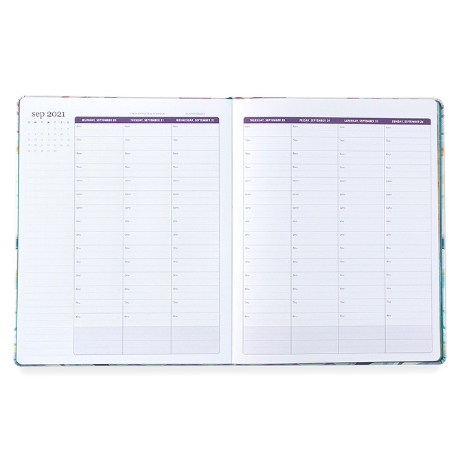 Two Planners to Try in 2021: a blog review with planner recommendations comparing the Erin Condren LifePlanner and Panda Planner Pro. #plannerrecommendations #erincondrenplanner #erincondrenlifeplanner #pandaplanner #pandaplannerpro #plannerreview