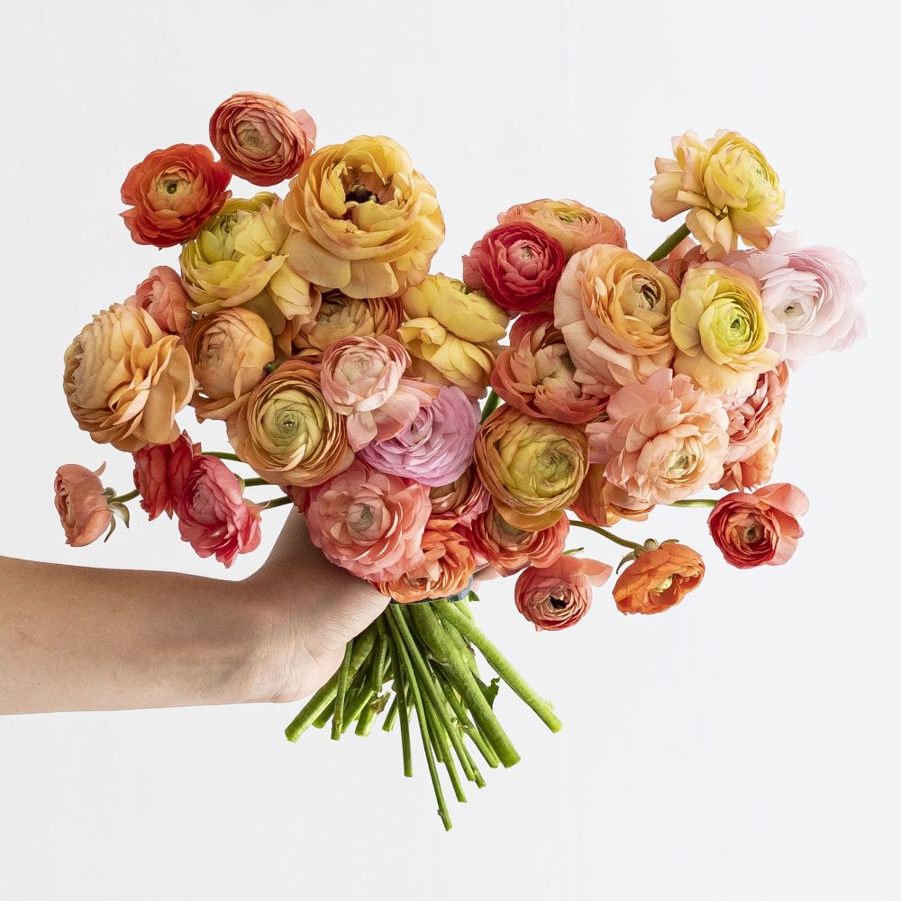 A Review of 3 Flower Delivery Services: Farmgirl Flowers, The Bouqs Co., and UrbanStems. See which online florist brand is right for you! #flowerdelivery #freshflowers #floristreview #flowerreview #farmgirlflowers #farmgirlflowersreview