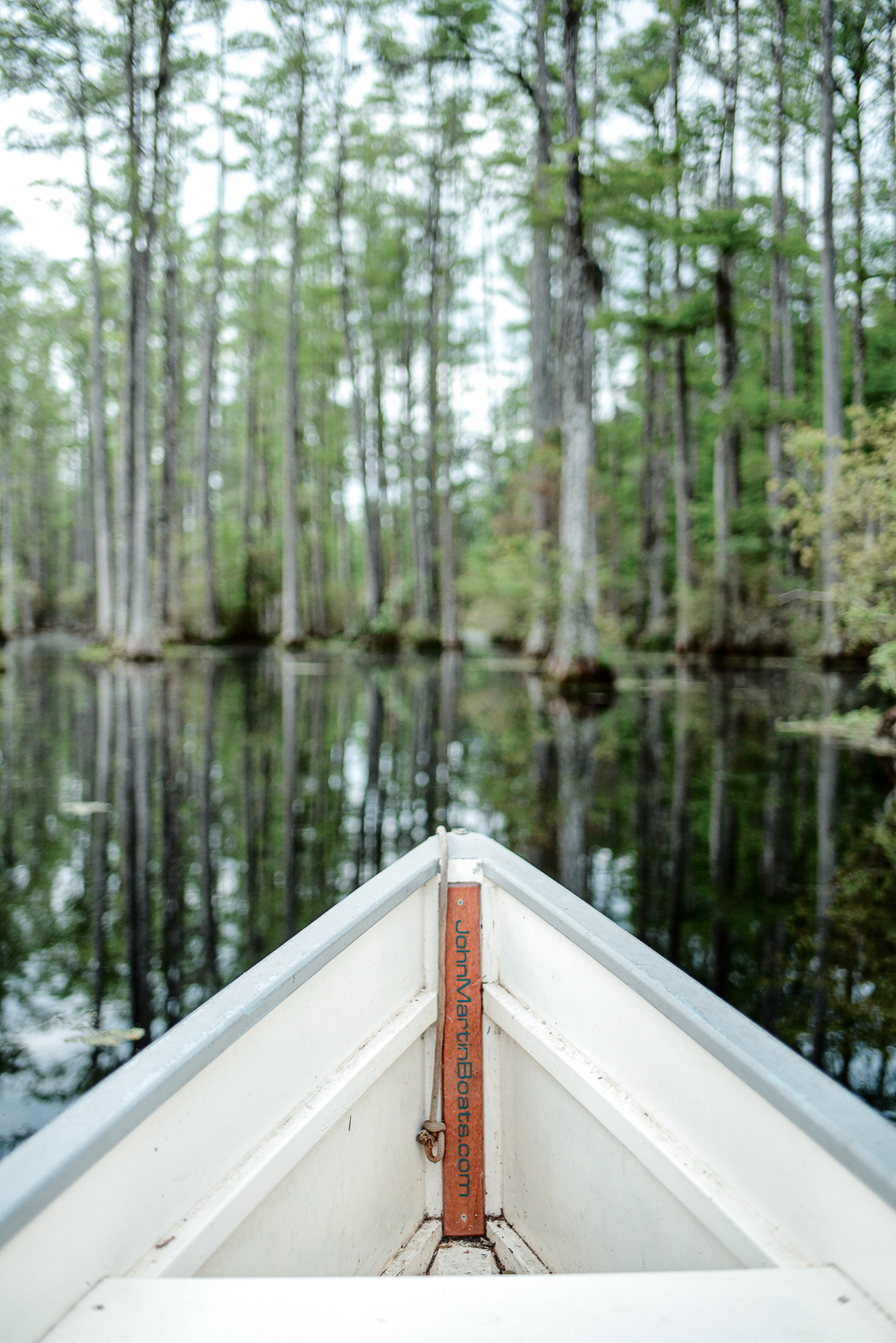 Cypress Gardens South Carolina: Planning a trip to Charleston? Take a morning drive out to Cypress Gardens for a romantic paddle boat tour. #cypressgardens #cypressgardenssc #cypressgardenssouthcarolina #visitcharleston #charlestondaytrip #plussizetravel
