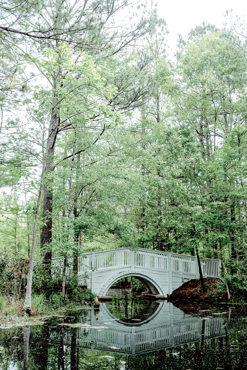 Cypress Gardens South Carolina: Planning a trip to Charleston? Take a morning drive out to Cypress Gardens for a romantic paddle boat tour. #cypressgardens #cypressgardenssc #cypressgardenssouthcarolina #visitcharleston #charlestondaytrip #plussizetravel