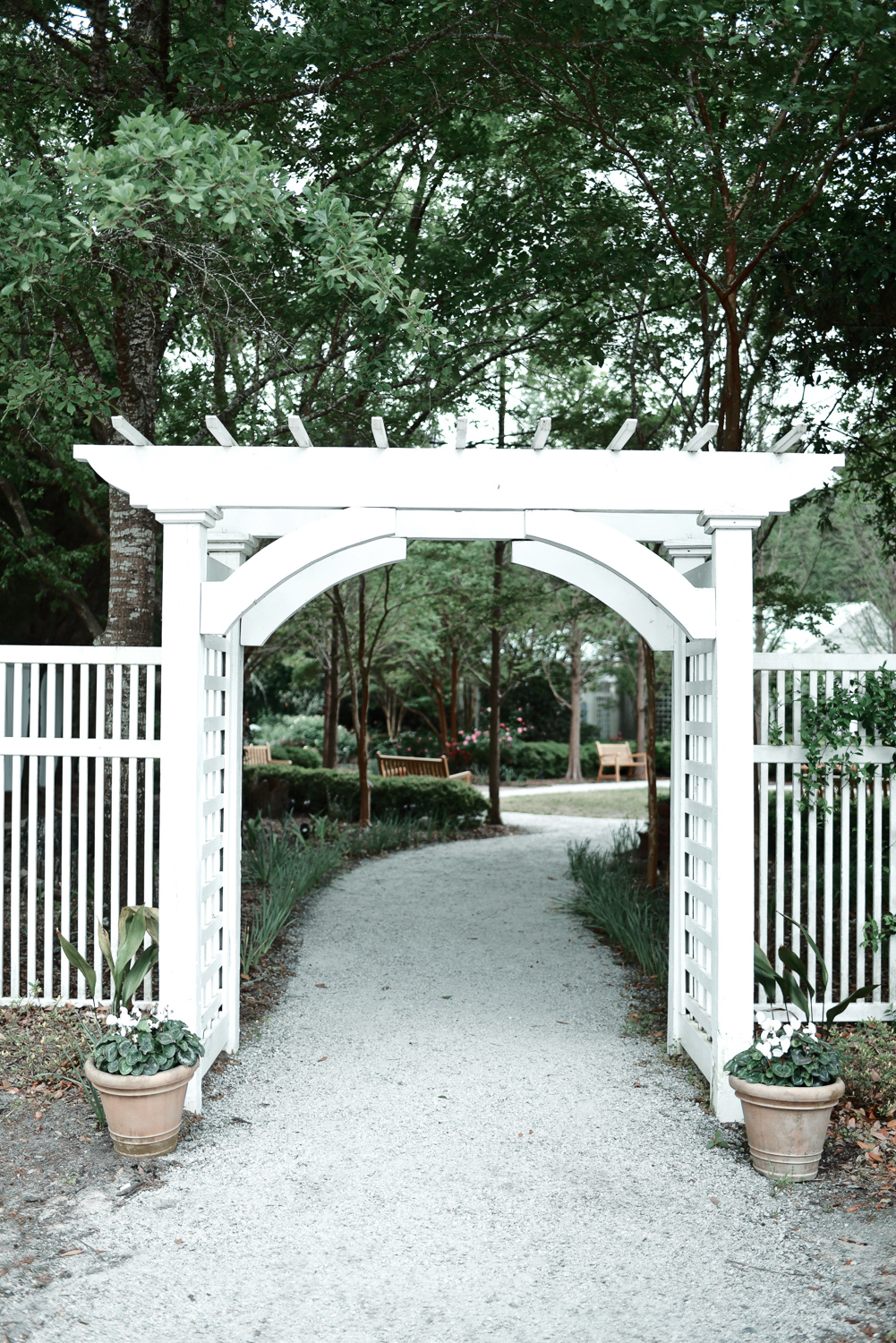 Cypress Gardens South Carolina: Planning a trip to Charleston? Take a morning drive out to Cypress Gardens for a romantic paddle boat tour. #cypressgardens #cypressgardenssc #cypressgardenssouthcarolina #visitcharleston #charlestondaytrip #plussizetravel