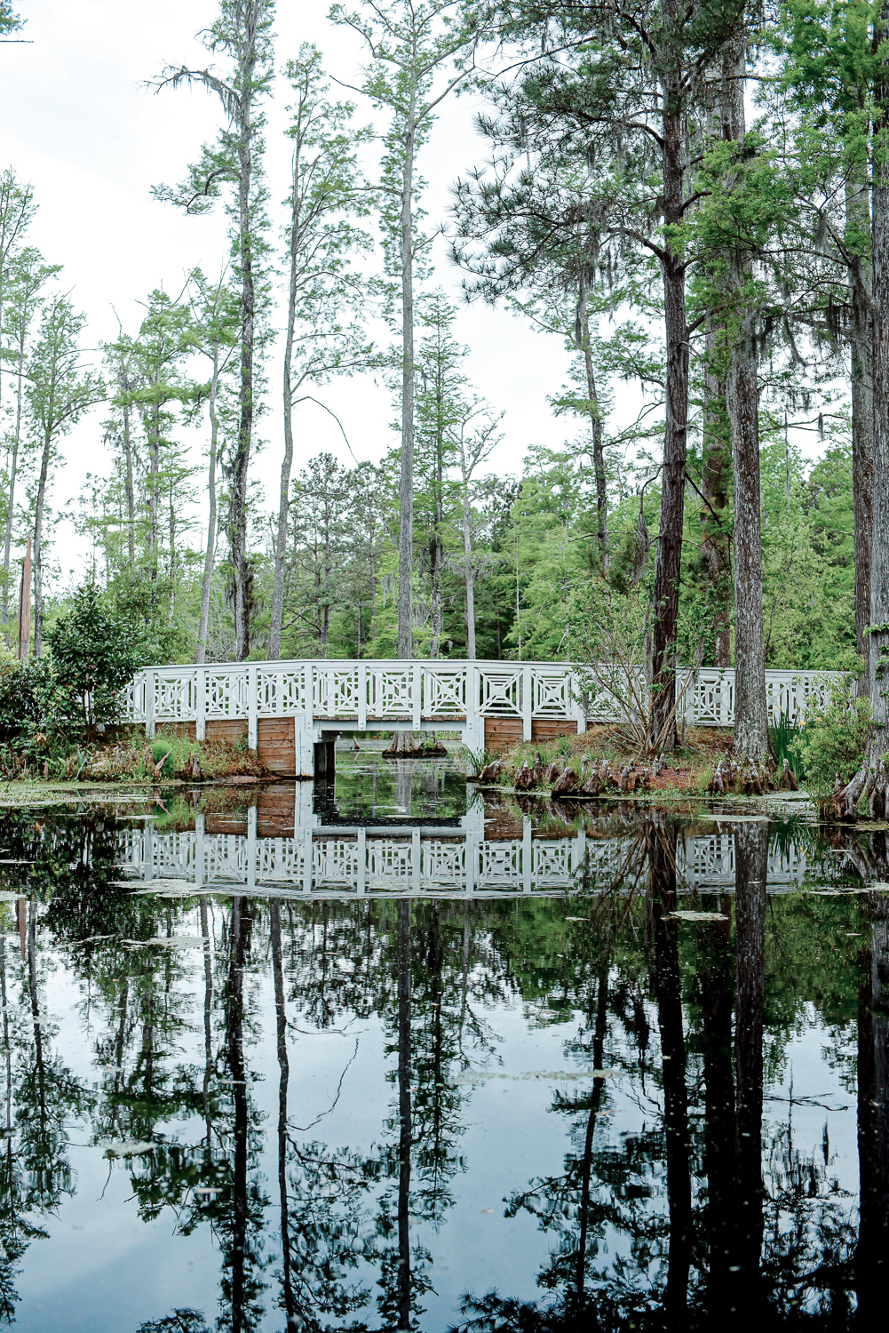 Cypress Gardens South Carolina: Planning a trip to Charleston? Take a morning drive out to Cypress Gardens for a romantic paddle boat tour. #cypressgardens #cypressgardenssc #cypressgardenssouthcarolina #visitcharleston #charlestondaytrip #plussizetravel