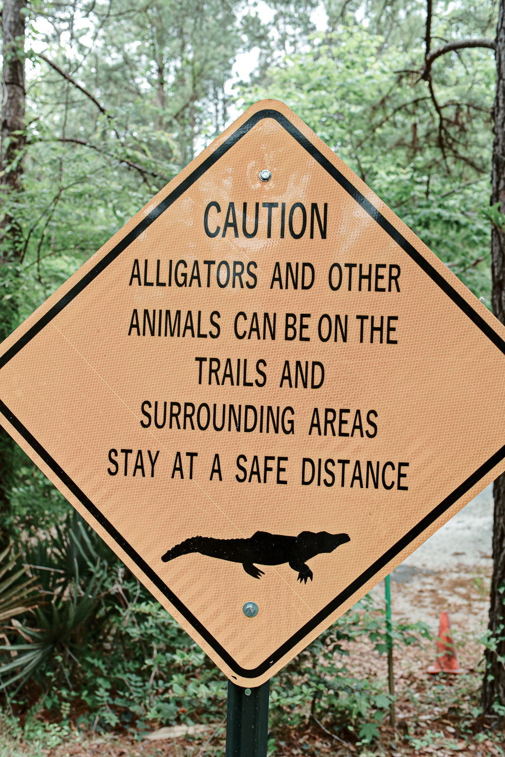 Cypress Gardens South Carolina: Planning a trip to Charleston? Take a morning drive out to Cypress Gardens for a romantic paddle boat tour. #cypressgardens #cypressgardenssc #cypressgardenssouthcarolina #visitcharleston #charlestondaytrip #plussizetravel