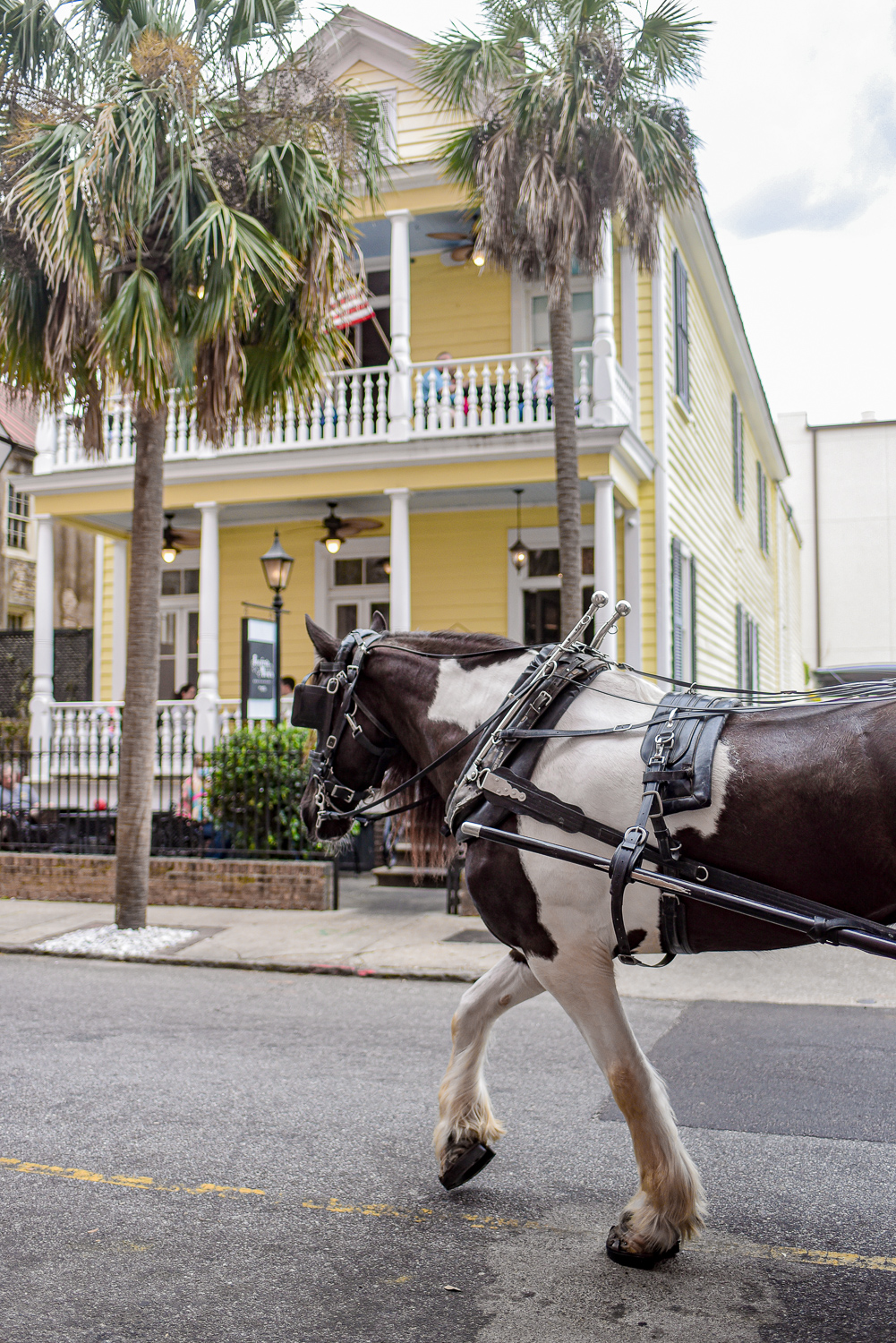 5 Southern US Cities to Visit this Spring: visit Asheville, Charleston, Key West, Nashville, and Savannah this March, April, or May.