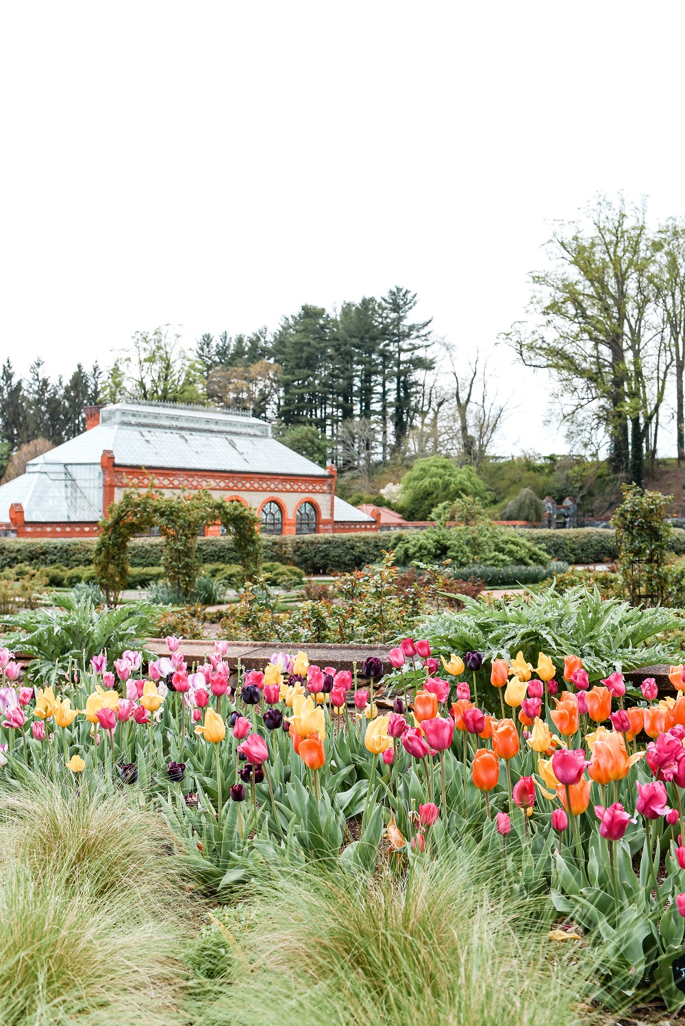 Spring at the Biltmore Estate: a travel guide for the Biltmore's annual Biltmore Blooms flower festival outside Asheville, North Carolina. #biltmoreblooms #biltmoreestate #flowerfestival #visitasheville #plussizetravelblog