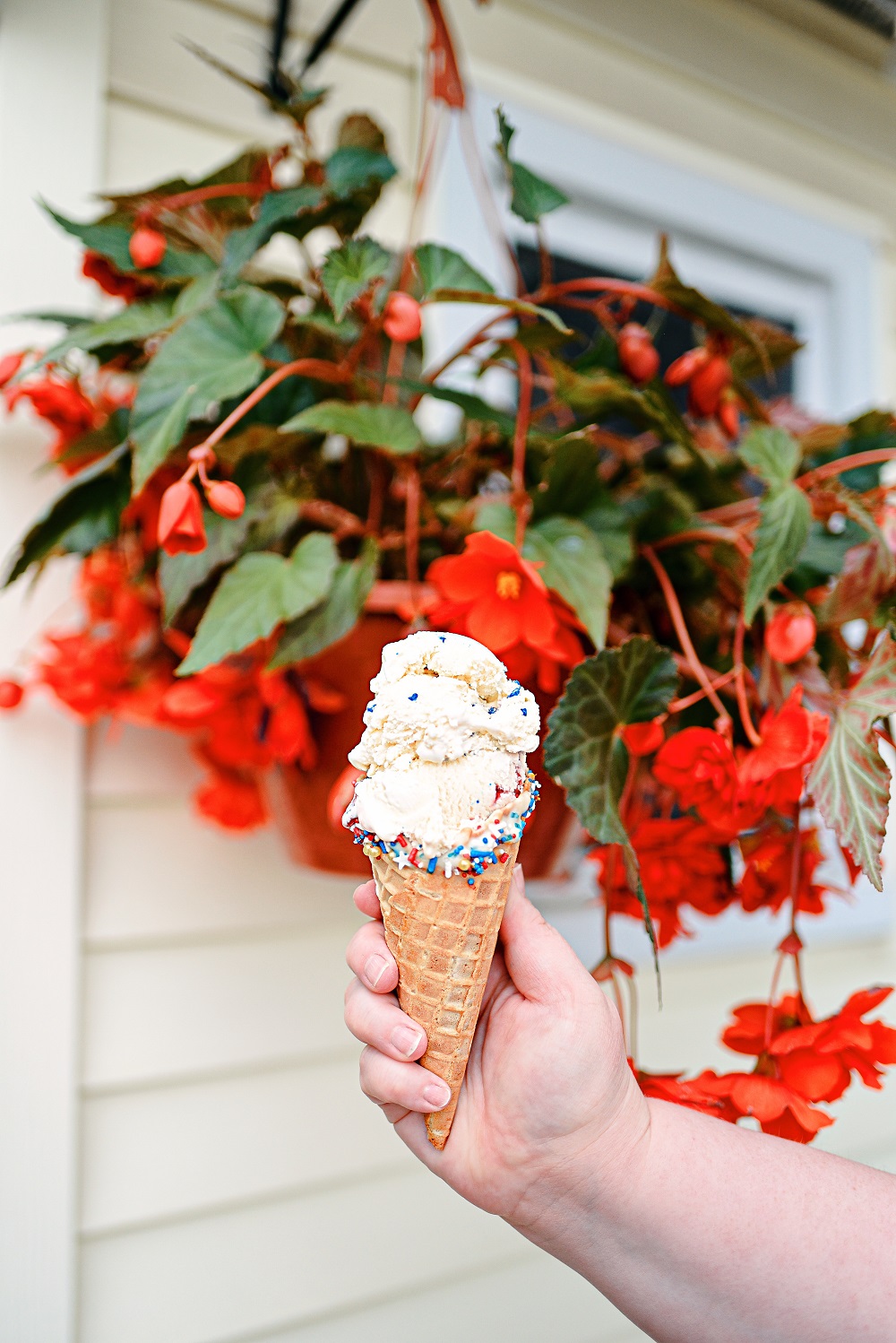 Red White and Blue Desserts for Summertime featuring Hudsonville Ice Cream's American Fireworks and Blueberry Graham Delight. #hudsonvilleicecream #redwhiteandbluedessert #redwhiteandbluerecipe #fourthofjulyrecipe #fourthofjulydessert #hudsonvilleamericanfireworks #hudsonvilleblueberrygrahamdelight