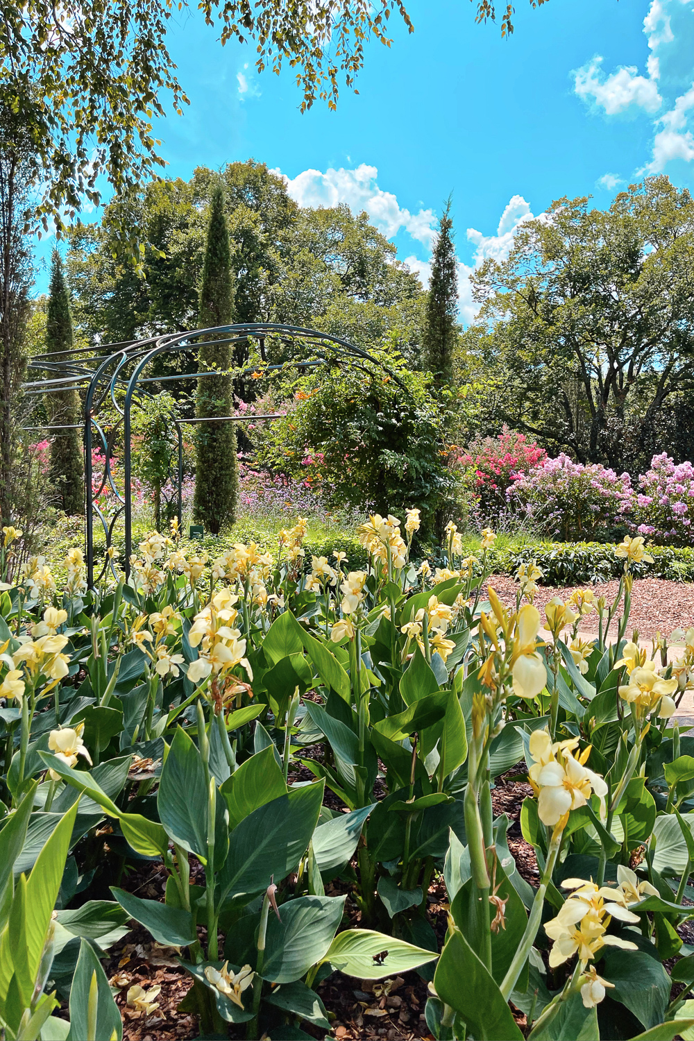 5 Southern US Cities to Visit this Spring: visit Asheville, Charleston, Key West, Nashville, and Savannah this March, April, or May.