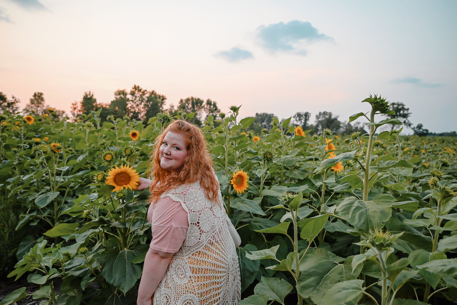 The Flower Fields are in Bloom at Schell Family Farm: this August, drive out to Pinckney, Michigan to see the wildflowers and sunflowers. #schellfamilyfarm #pinckneymichigan #pinckneymi #michigansunflowers #michiganwildflowers