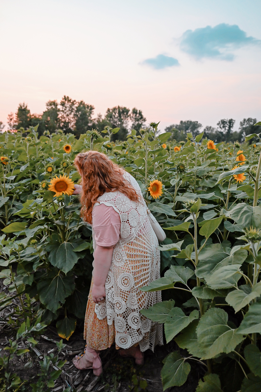 The Flower Fields are in Bloom at Schell Family Farm: this August, drive out to Pinckney, Michigan to see the wildflowers and sunflowers. #schellfamilyfarm #pinckneymichigan #pinckneymi #michigansunflowers #michiganwildflowers
