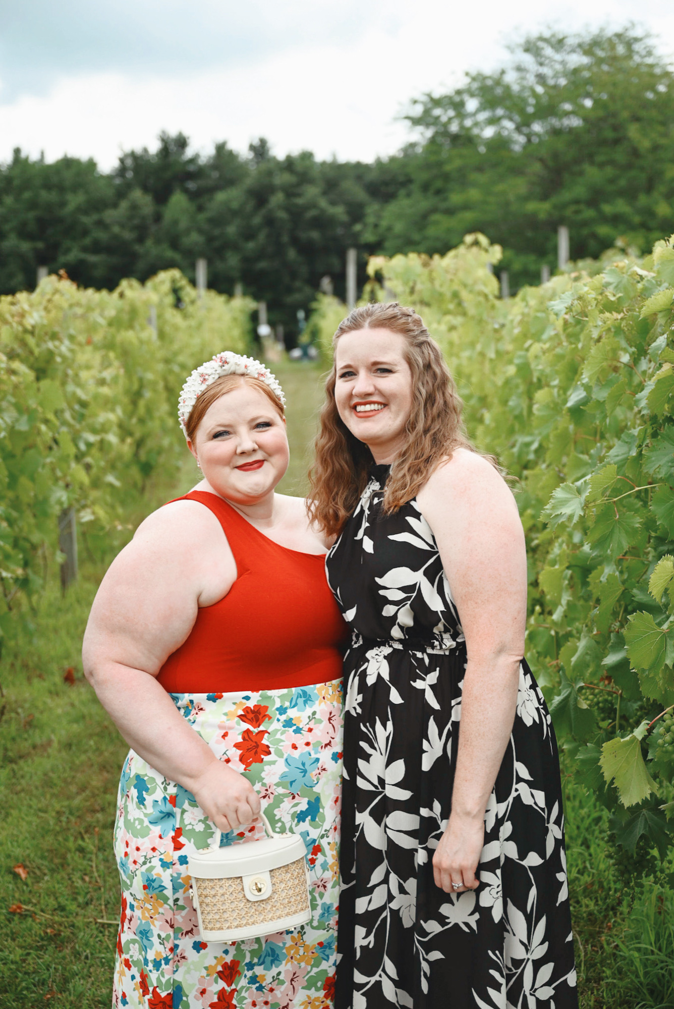 A Day Trip to the Jackson Michigan Wineries | My guide to Sandhill Crane Vineyards, Chateau Aeronautique, Meckley's, and Blue Skies Brewery.