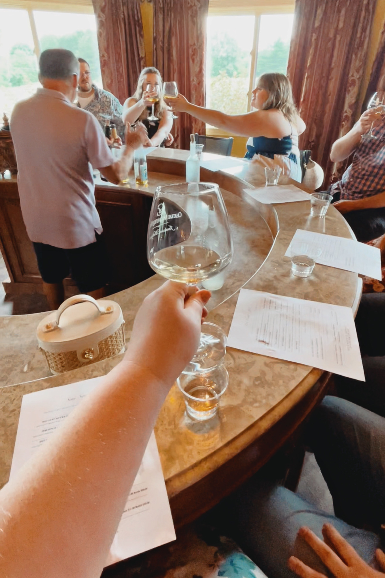 A Day Trip to the Jackson Michigan Wineries | My guide to Sandhill Crane Vineyards, Chateau Aeronautique, Meckley's, and Blue Skies Brewery.