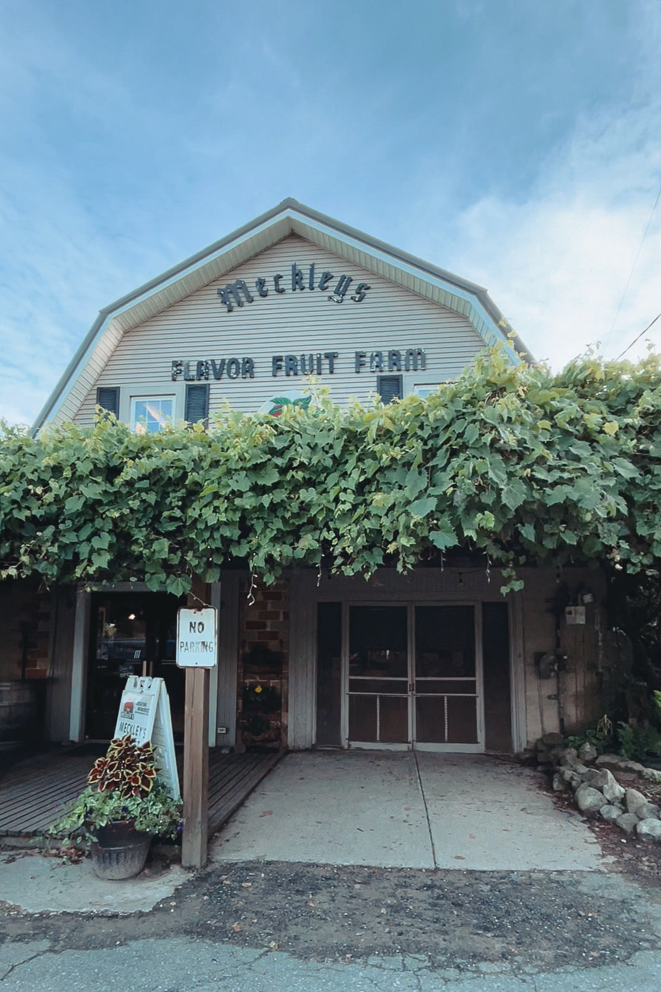 A Day Trip to the Jackson Michigan Wineries | My guide to Sandhill Crane Vineyards, Chateau Aeronautique, Meckley's, and Blue Skies Brewery.