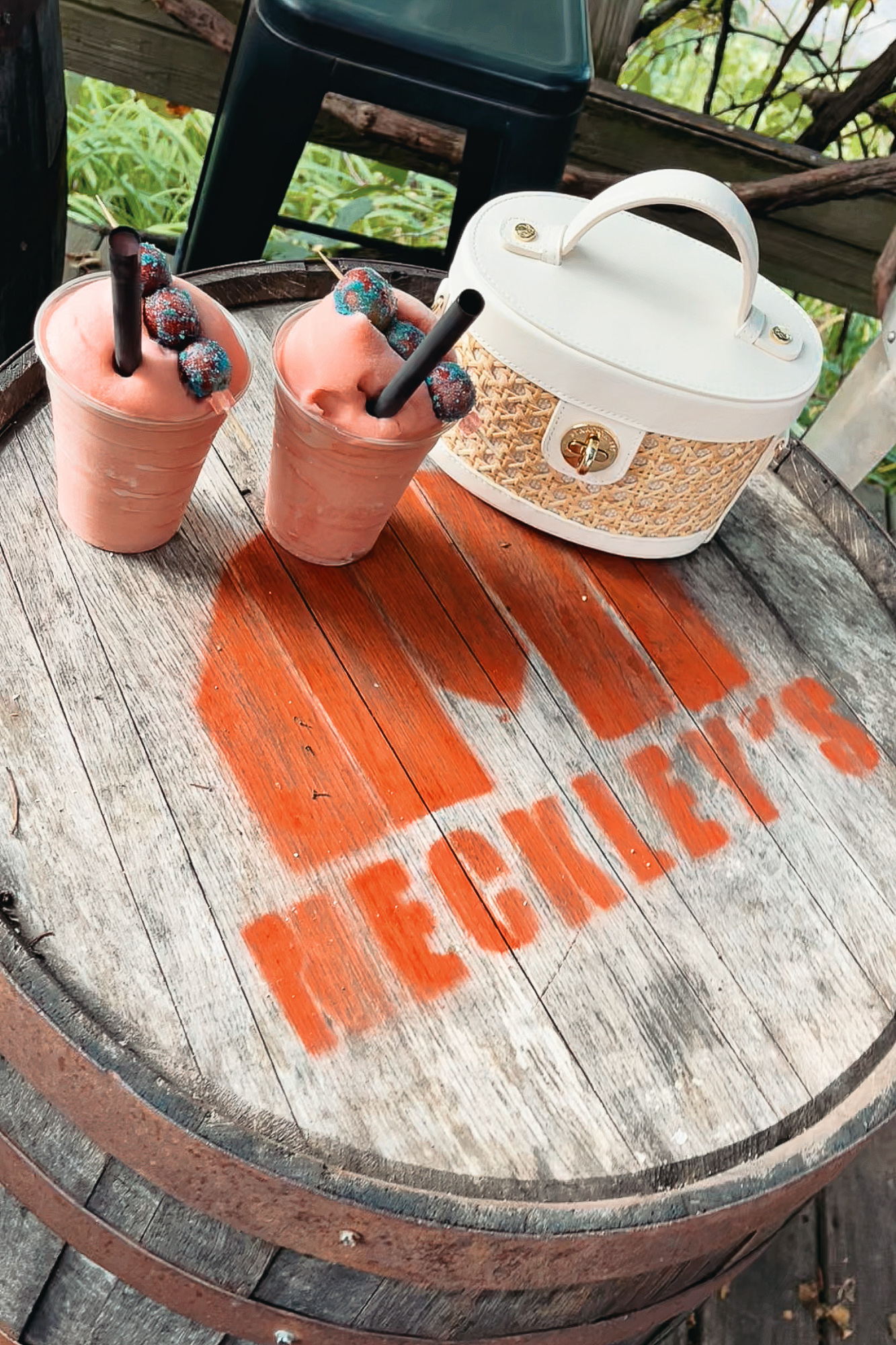 A Day Trip to the Jackson Michigan Wineries | My guide to Sandhill Crane Vineyards, Chateau Aeronautique, Meckley's, and Blue Skies Brewery.