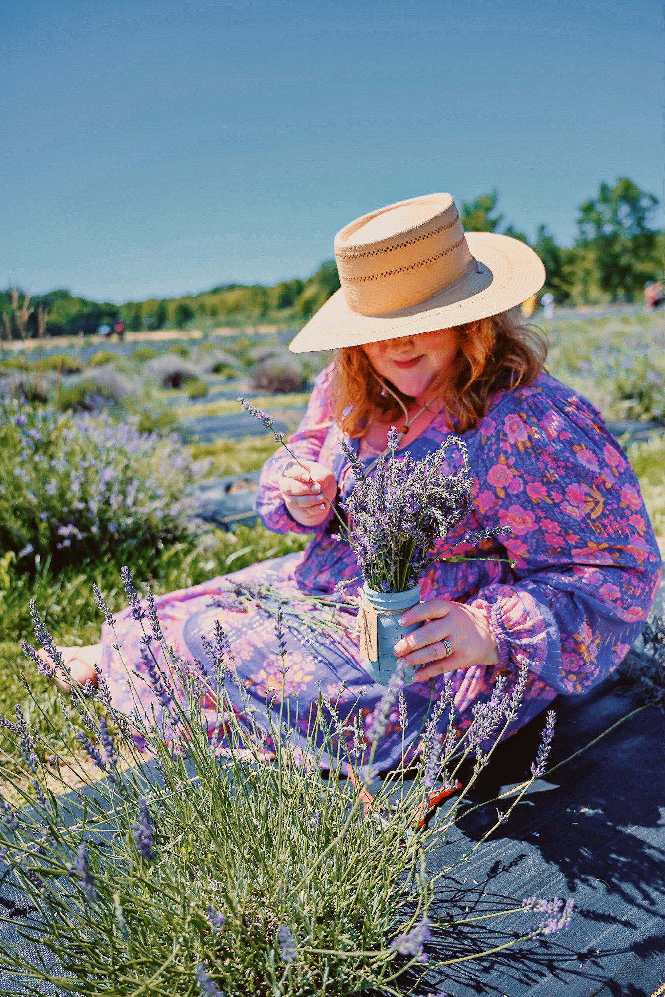 DeBuck's Sunflower Farm Lavender Festival | $8 tickets include wagon rides to the flower fields, with snacks and lavender products for sale.