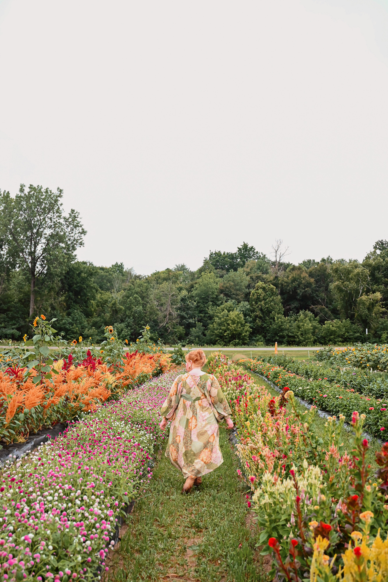 Down on MI Farm with #MIGrownMIGreat | A celebration of Michigan farmers and our state's growing agritourism and floritourism industries.