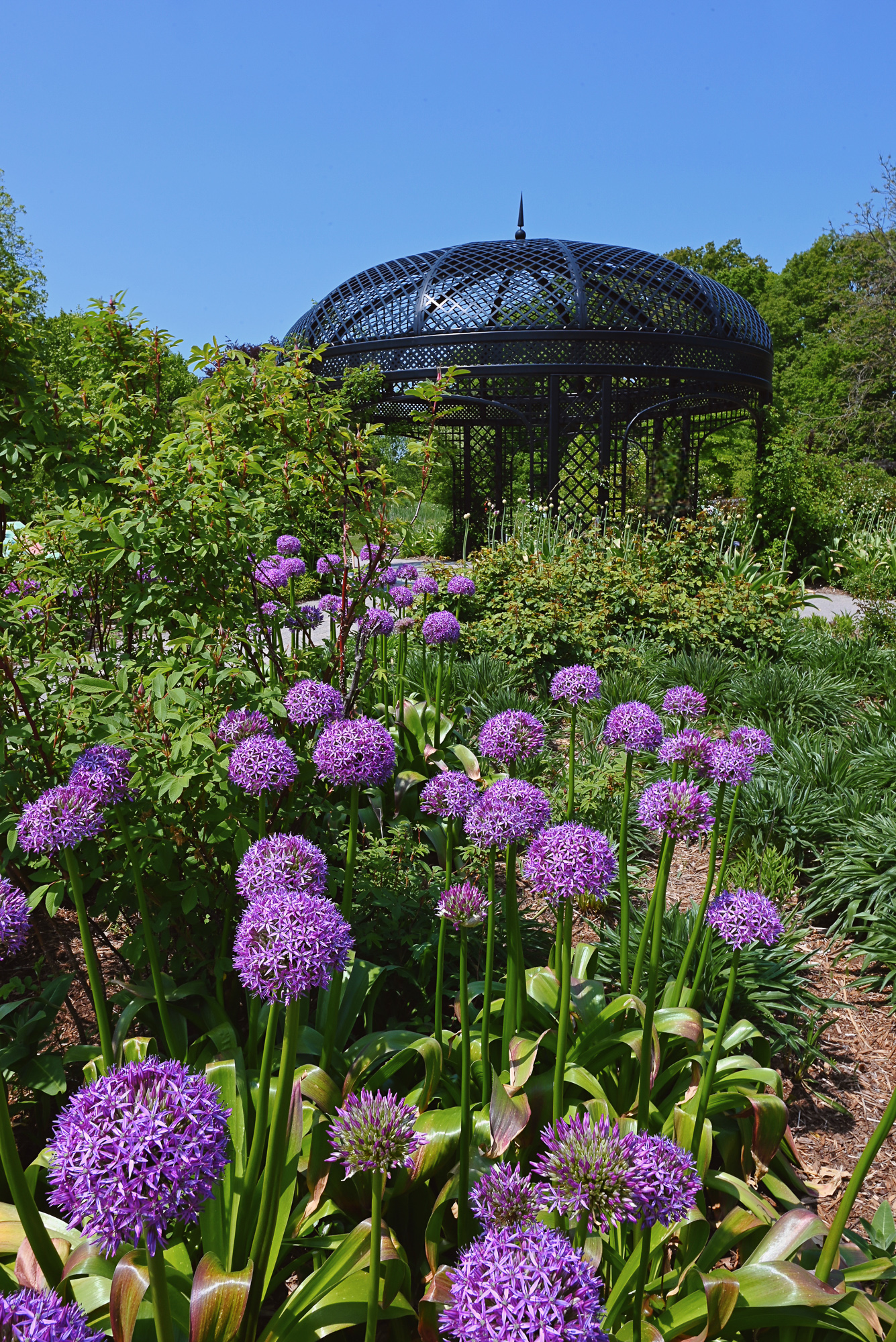 An Afternoon Tea and Garden Date | Visit Queen of Hearts Tea House and the Royal Botanical Gardens in Ontario for a day trip from Toronto.